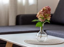 Violetos Lux Apartamentai2，位于德鲁斯基宁凯的酒店