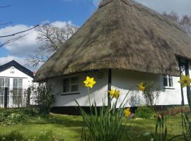 Frogs Hall B&B，位于埃耶的酒店