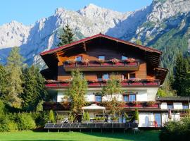 Pension Dachsteinhof，位于拉姆绍达赫斯坦的酒店