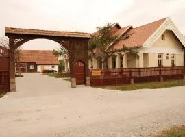 Borsika panzió