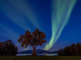 Arctic Garden，位于勒丁恩的酒店