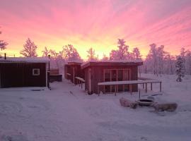北极美食山林小屋，位于基律纳的木屋