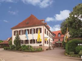 Landgasthof Schmidbaur，位于多瑙沃特的旅馆