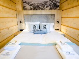 Skansen Holiday，位于Cholerzyn的酒店