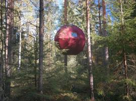 纳塞特斯马库斯农场公寓，位于Furudal的带泳池的酒店