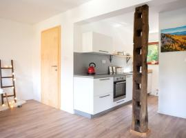 Woodywood house Bohinj，位于Polje的酒店