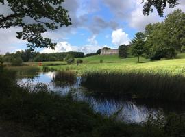 Curraghchase Cottage，位于Kilcornan的酒店