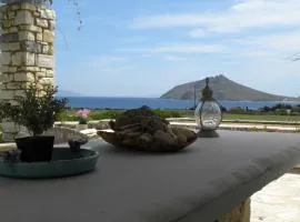 Villa Petradi (150 meters from the sea)