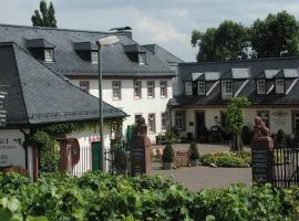 Residenz Weingut Schloss Reinhartshausen，位于埃尔特维勒的度假短租房