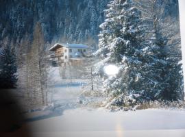 Alpenchalet，位于Steinberg am Rofan的宠物友好酒店