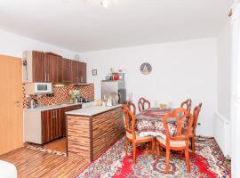 Apartment Benešov s.r.o.，位于贝内绍夫的酒店