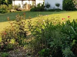 Piccadilly Farm Cottages