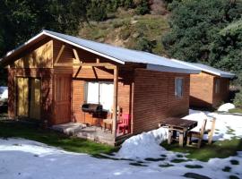 Cabañas El Toro - Radal Siete Tazas，位于莫利纳的酒店