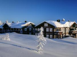 Blefjell Lodge，位于兰帕兰德的酒店