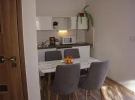 Apartmánový dom Mária