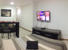 博塔弗戈海滩一室公寓，位于里约热内卢Botafogo Praia Shopping附近的酒店