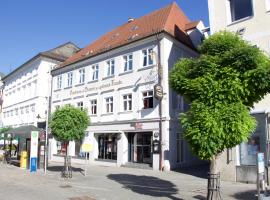 Hotel Goldene Traube，位于金茨堡的酒店