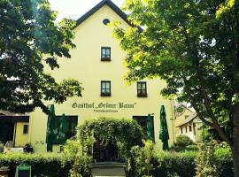 Hotel-Landgasthof Grüner Baum - Dittigheim，位于陶贝尔比绍夫斯海姆的酒店