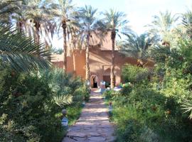 Riad Tagmadarte Ferme d'Hôte，位于扎古拉的摩洛哥传统庭院