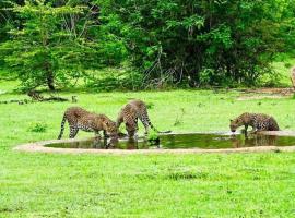 Yala Leopard Mobile Camp，位于雅拉的海滩短租房