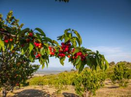 vmf，位于博纳尔卡多的酒店