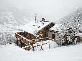 Rauriser Bergchalet，位于劳里斯的木屋