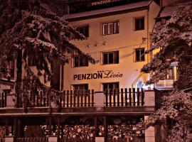 Penzionlivia,Tr.teplice，位于特伦钦温泉镇的酒店