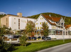 怀尔德曼乡村酒店，位于Eggingen的带停车场的酒店