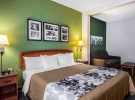 Sleep Inn & Suites Danville Hwy 58，位于丹维尔的酒店