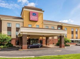 Comfort Suites Fairview Heights Saint Louis，位于费尔维尤海茨的酒店