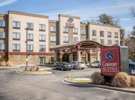 Comfort Suites New Bern near Cherry Point，位于克雷恩县区域机场 - EWN附近的酒店