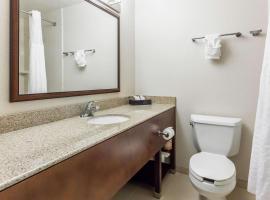 Comfort Inn & Suites Near Fallon Naval Air Station，位于法伦的酒店