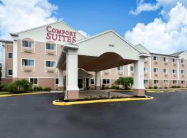 Comfort Suites Rochester Henrietta University Area，位于亨里埃塔圆顶中心附近的酒店