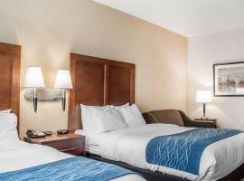 Comfort Inn & Suites Hamburg - Buffalo South，位于汉堡的酒店