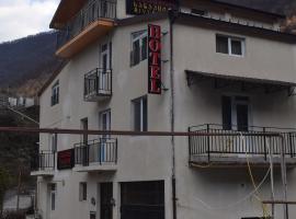 Hotel River Side，位于P'asanauri的酒店