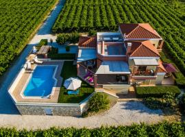 Cretan Vineyard Hill Villa，位于Káto Kalésia的酒店