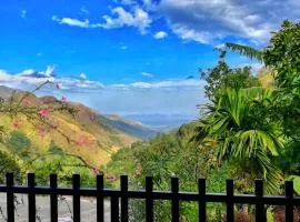 Divine View Homestay