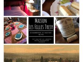 Chambres d Hôtes Les Filles Tresy，位于帕塞南的家庭/亲子酒店