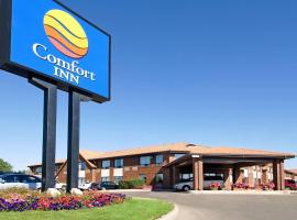 Comfort Inn Regina，位于里贾纳的酒店