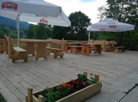 Hotel Górski w Wetlinie，位于韦特利纳的酒店