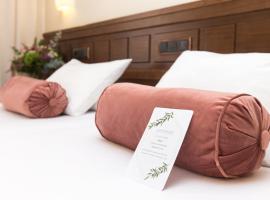 Hotel Garelos Betanzos，位于贝坦索斯的酒店