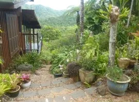 Daintree Holiday Homes - The Folly