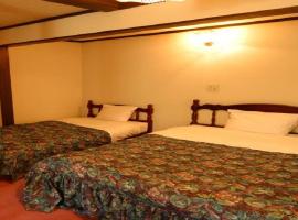 4658-66 Higashiogawa - Hotel / Vacation STAY 7785，位于Shirane的酒店