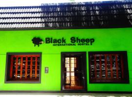 Black Sheep International Hostel，位于门多萨的酒店