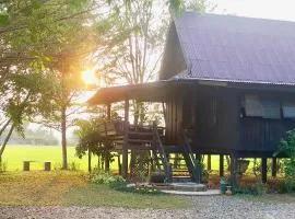 Tung Tong Homestay & Camping