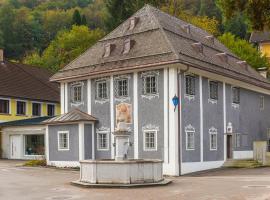 Schwarzes Haus，位于Ybbsitz的酒店