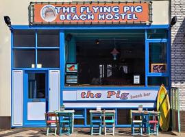 The Flying Pig Beach Hostel, ages 18 - 40，位于海滨诺德韦克的青旅