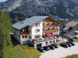 Hotel Alpenrose，位于Tauplitzalm的酒店
