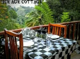 Ice Age Cottage