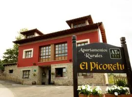Apartamentos El Picoretu